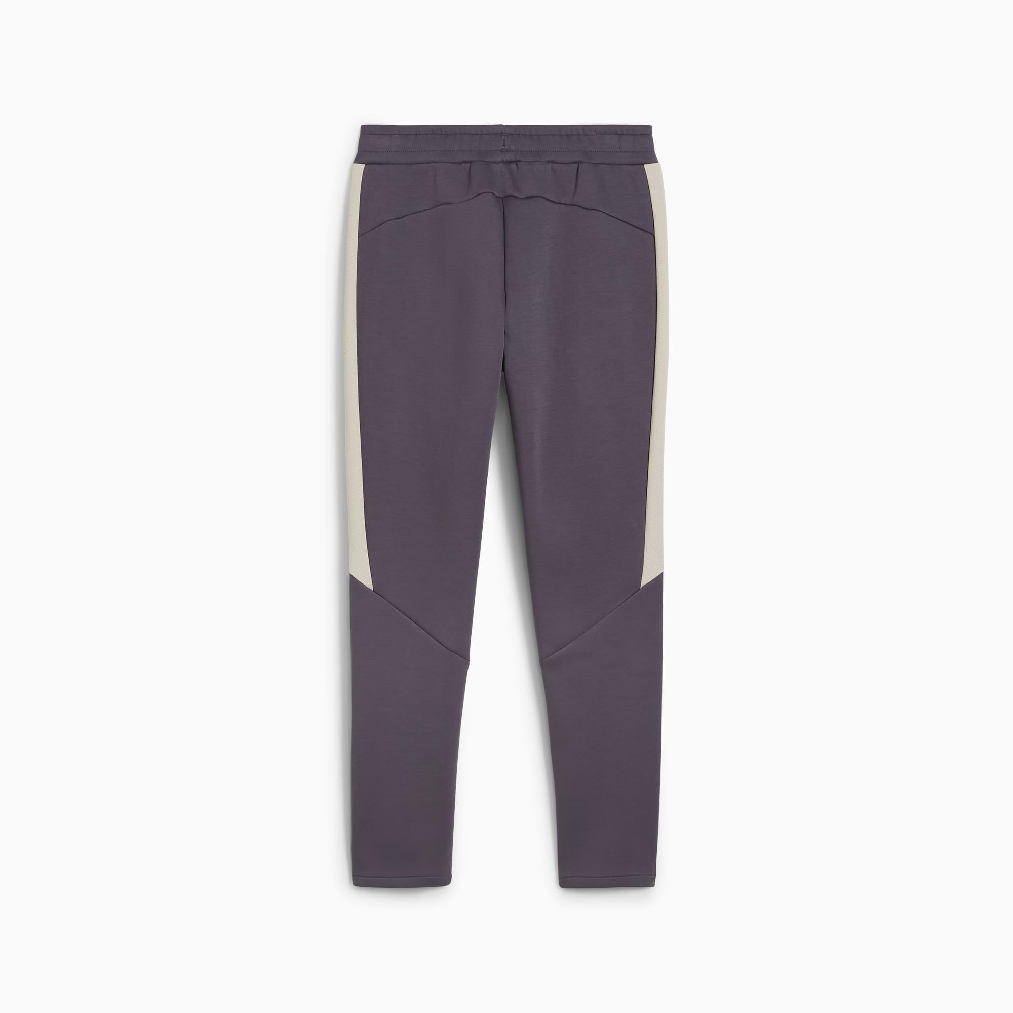 EVOSTRIPE Men's Pants Product Image