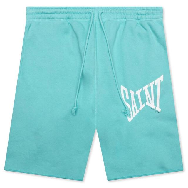 Saint Shorts - Blue Male Product Image