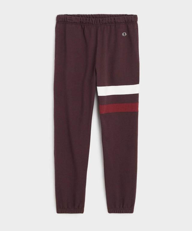 Champion Striped Sweatpant in Cordovan Product Image