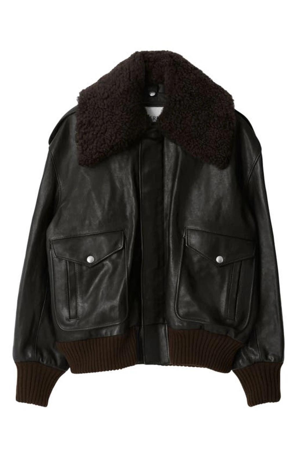 Mens Leather Shearling-Collar Aviator Jacket Product Image