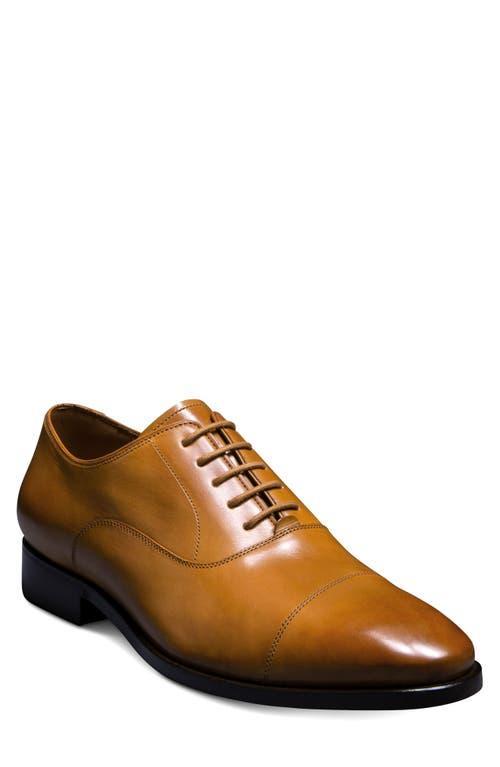 Allen Edmonds Siena Clean Cap Toe Oxford Product Image