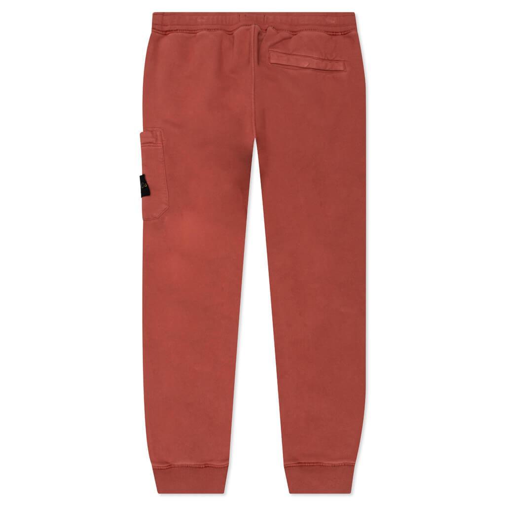 Fleece Pants 64520 - Brick Red Male Product Image