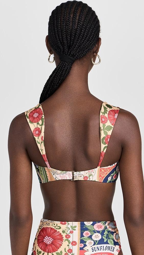 Agua Bendita Malory Harvest Top | Shopbop Product Image