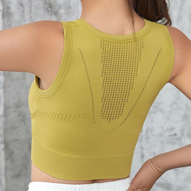 Plain Sports Bra Product Image