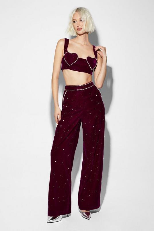 Premium Velvet Tailored Embellished Pants Product Image