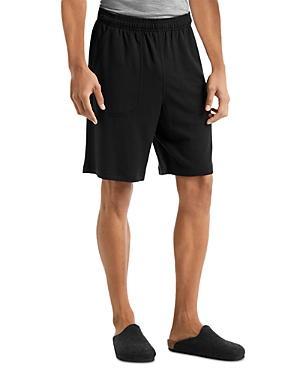 Icebreaker Shifter Regular Fit Shorts Product Image