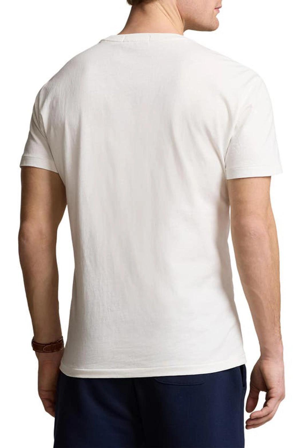 POLO RALPH LAUREN Classic Fit Jersey Graphic Tee In Nevis Product Image