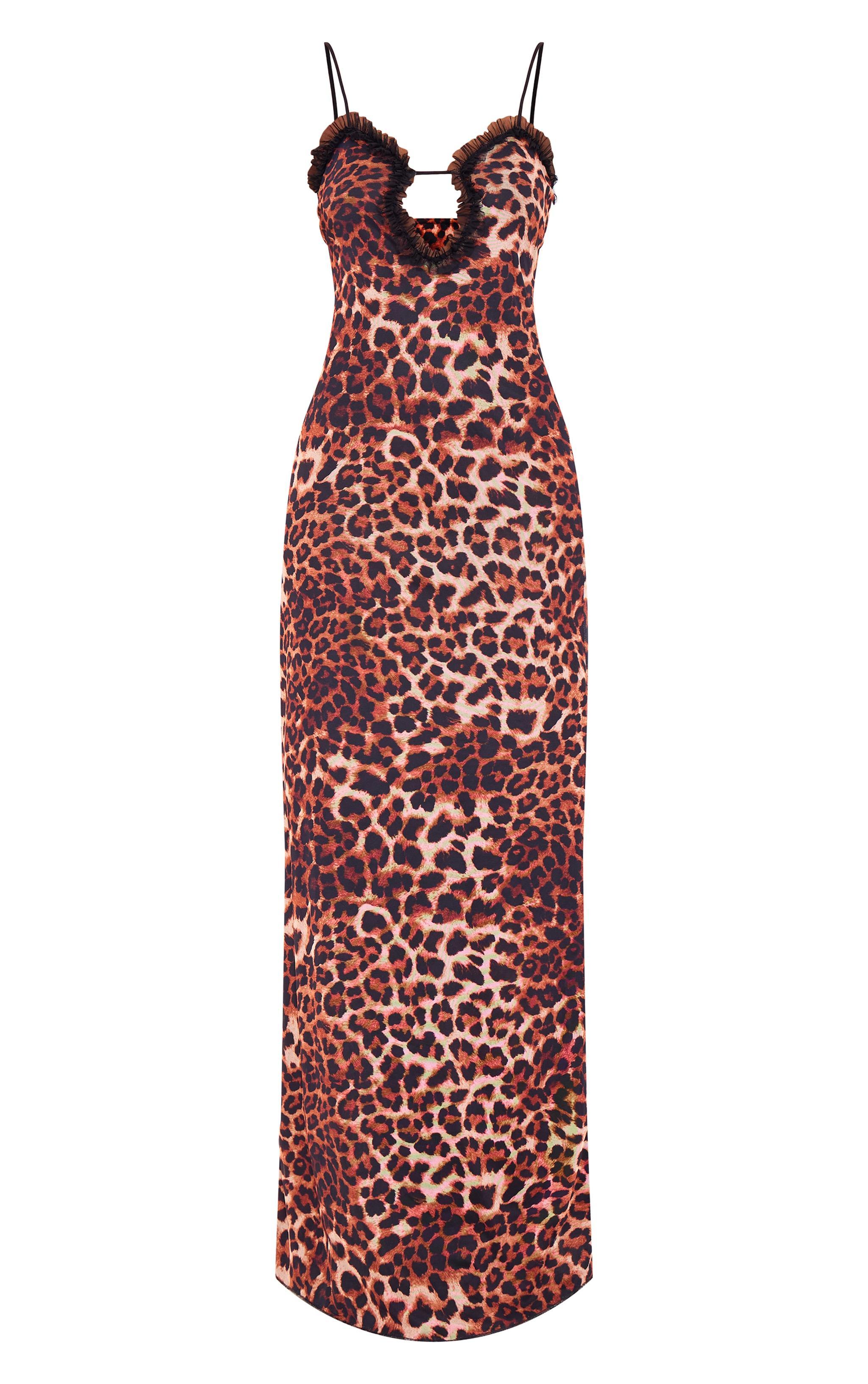 Tall Brown Leopard Mesh Maxi Dress Product Image