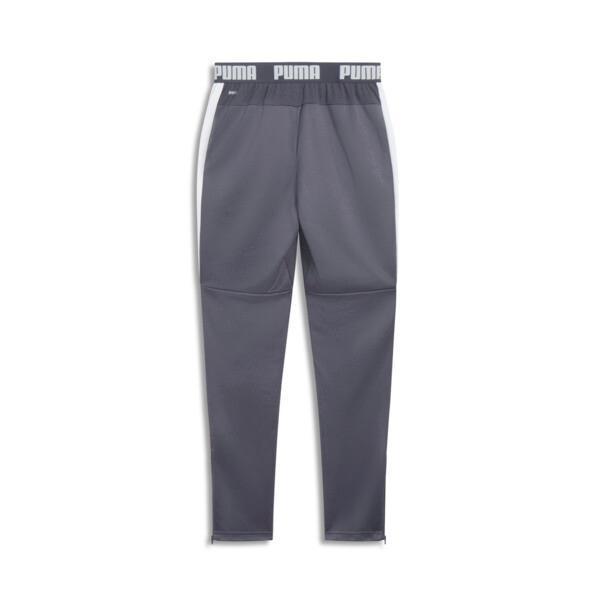 PUMA Speed Men's Pants in Galactic Grey/White Product Image