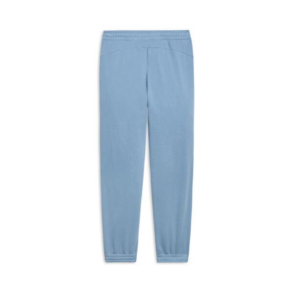 PUMA POWER Men's Sweatpants Product Image