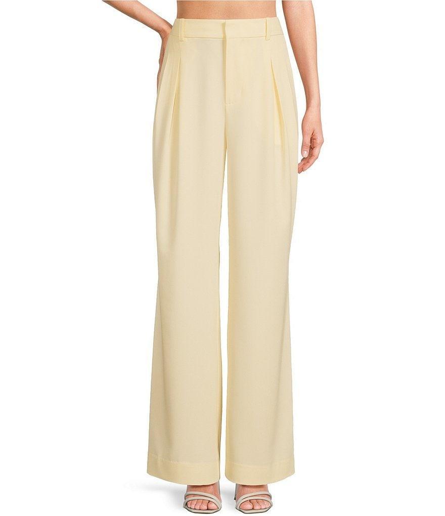 RONNY KOBO Ronny Stretch Twill Pleated Wide-Leg Slouchy Coordinating Pants product image