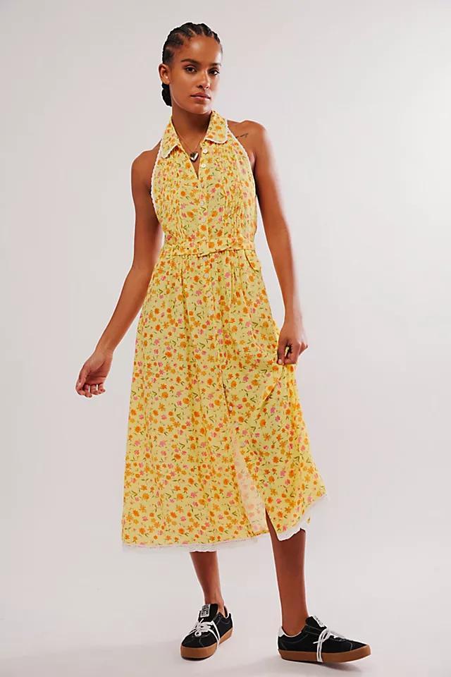 Slice Of Life Midi Dress Product Image