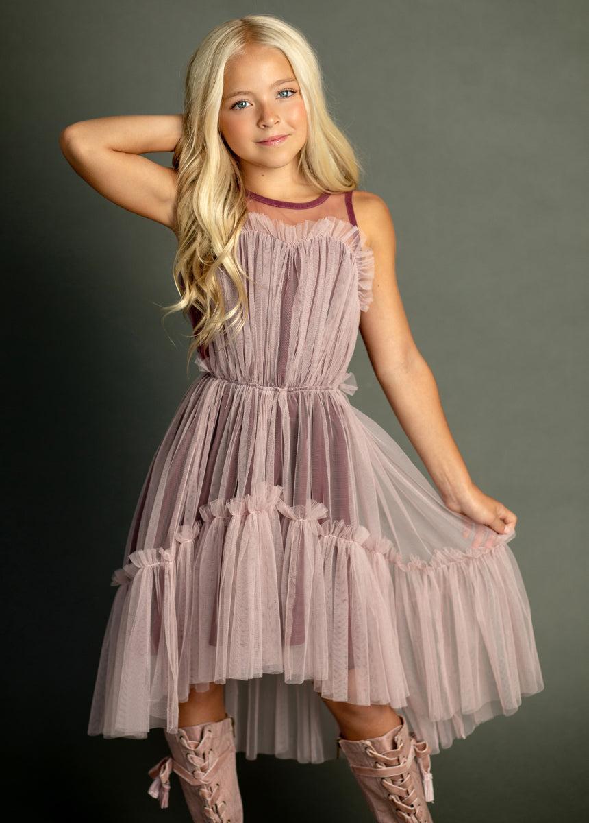 Loie Dress in Blush Product Image