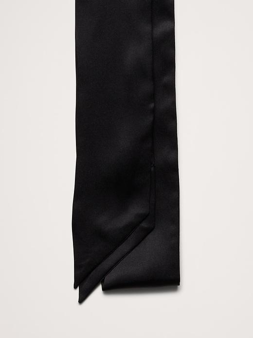 Silk Skinny Scarf Product Image