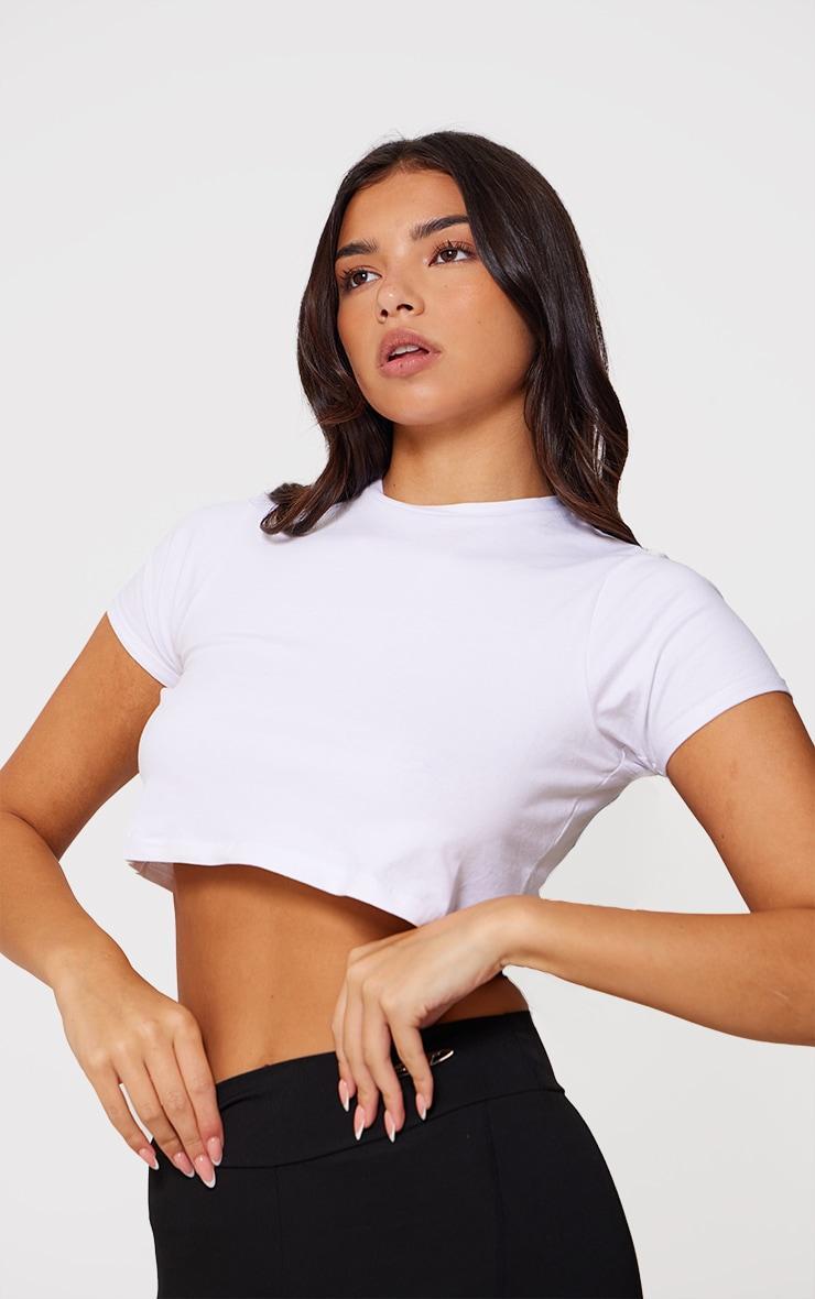 Basic Roll Sleeve White Crop Top Product Image