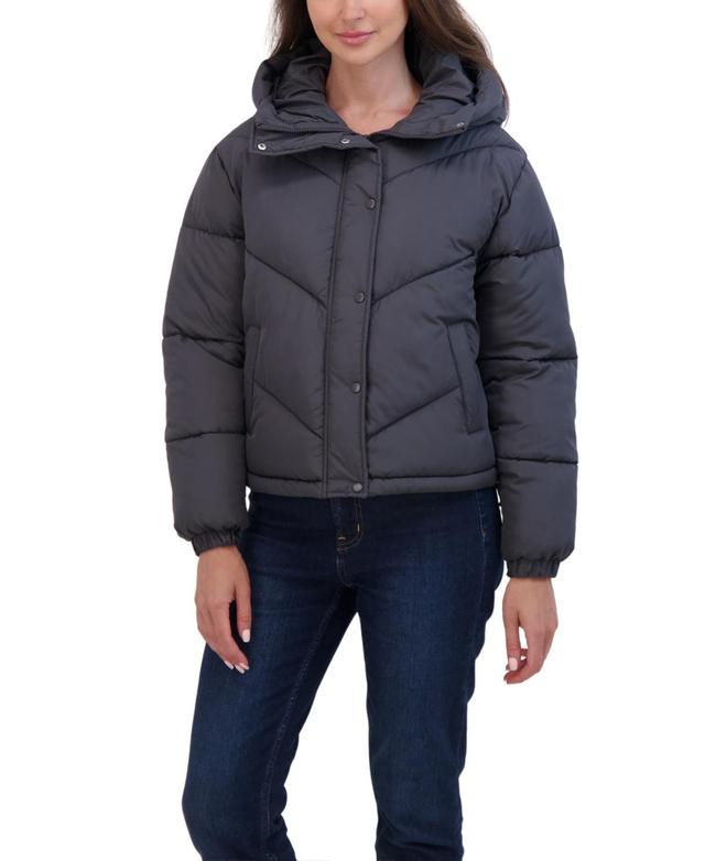 Sebby Juniors Women Short Hooded Puffer Jacket Product Image