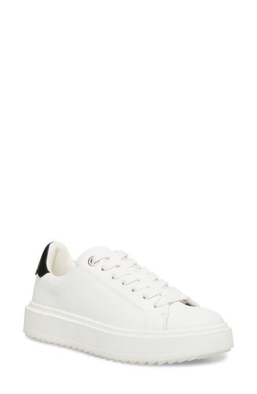 Steve Madden Charlie Platform Sneaker Product Image