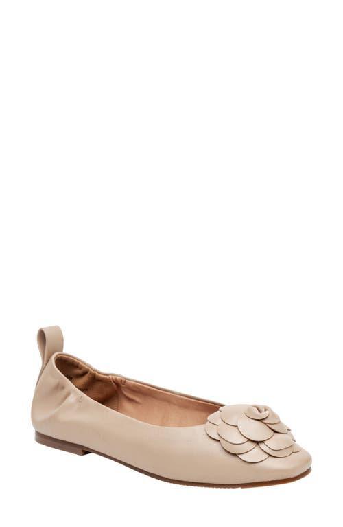 Linea Paolo Nina Ballet Flat Product Image