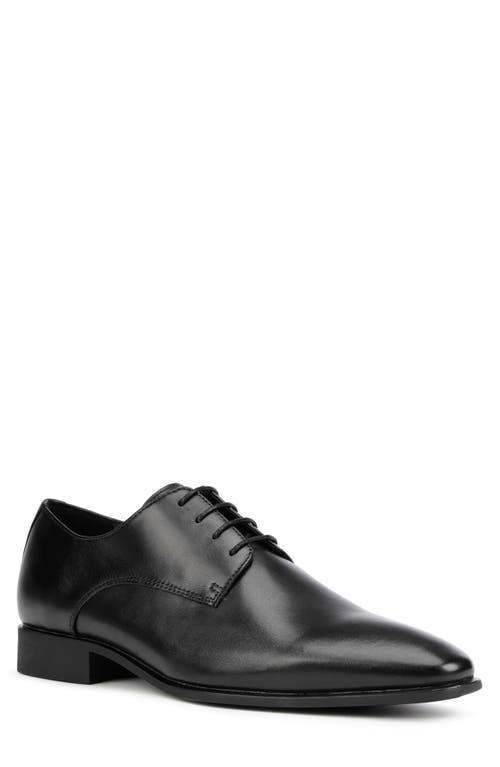 Geox Highlife 11 Plain Toe Derby Product Image