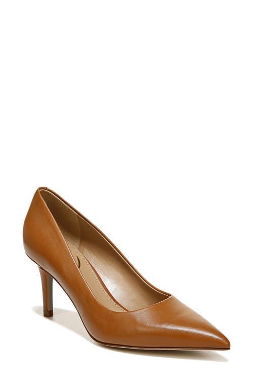 Sam Edelman Vienna Pointed Toe Pump Product Image