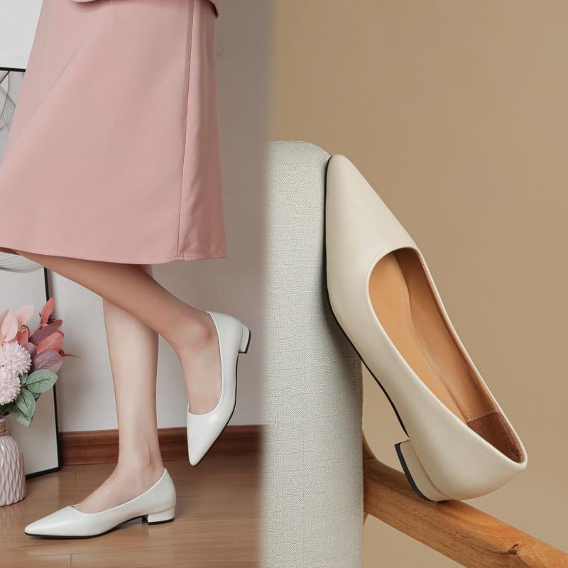 Low Heel Pointed Plain Pumps Product Image