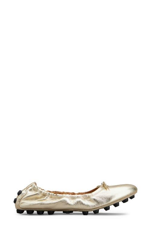 Tods Bubble Bow Ballet Flat Product Image