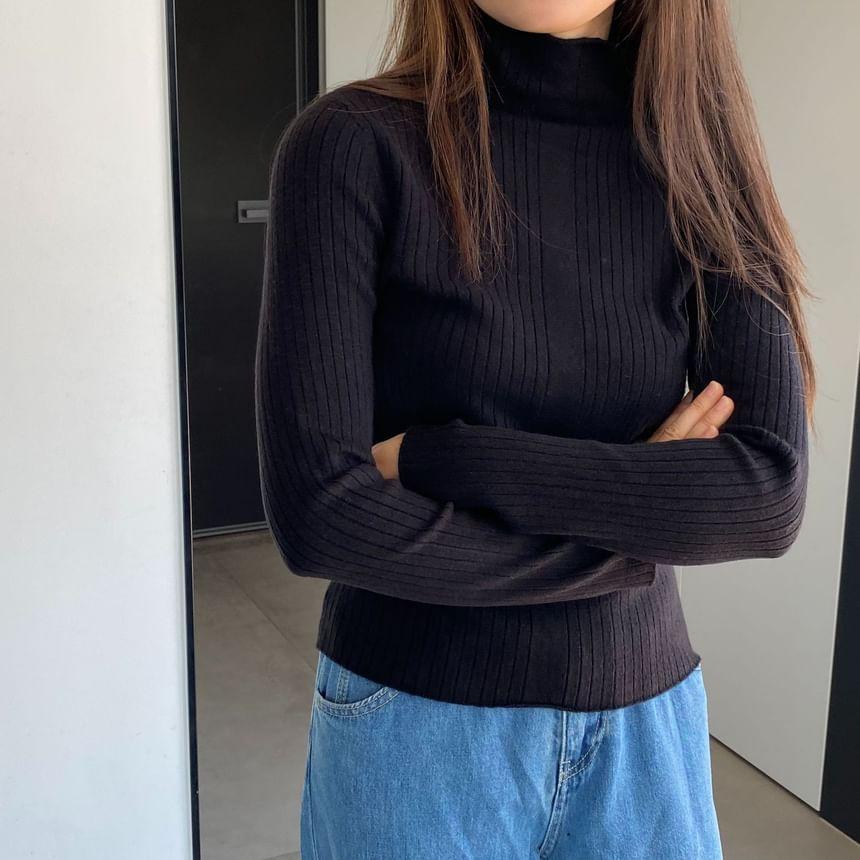 Turtleneck Plain Ribbed Sweater Product Image