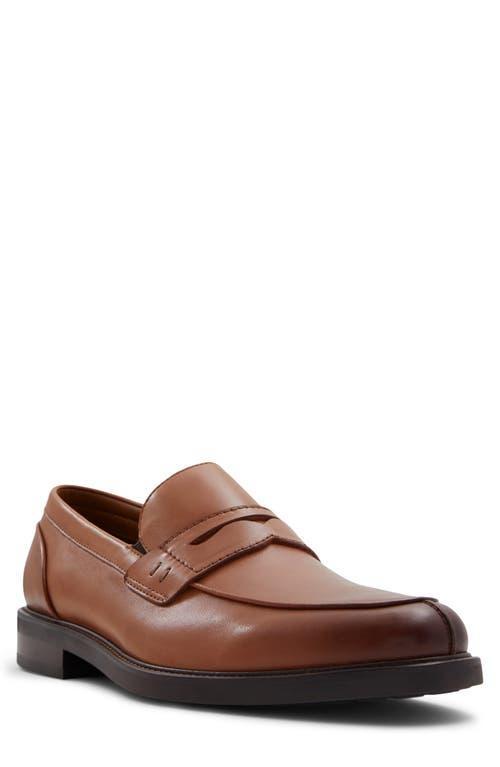 ALDO Sullivan Penny Loafer Product Image