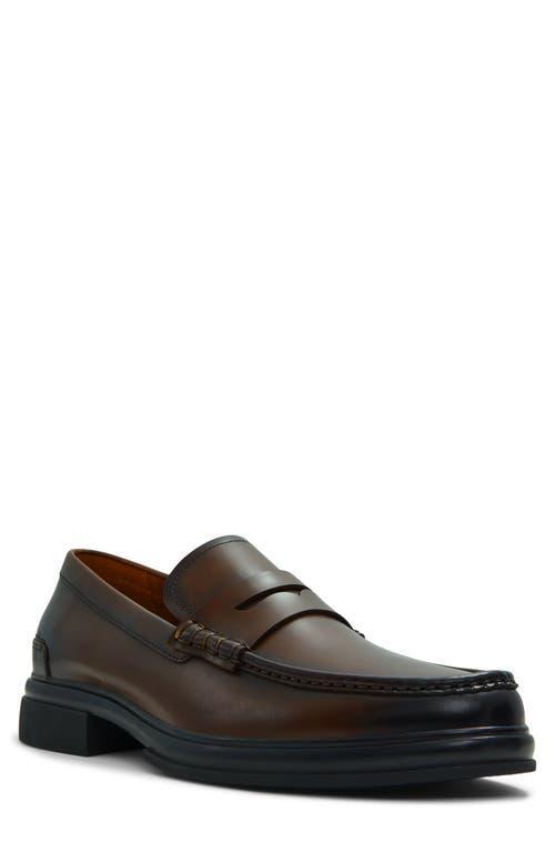 ALDO Tucker Penny Loafer Product Image