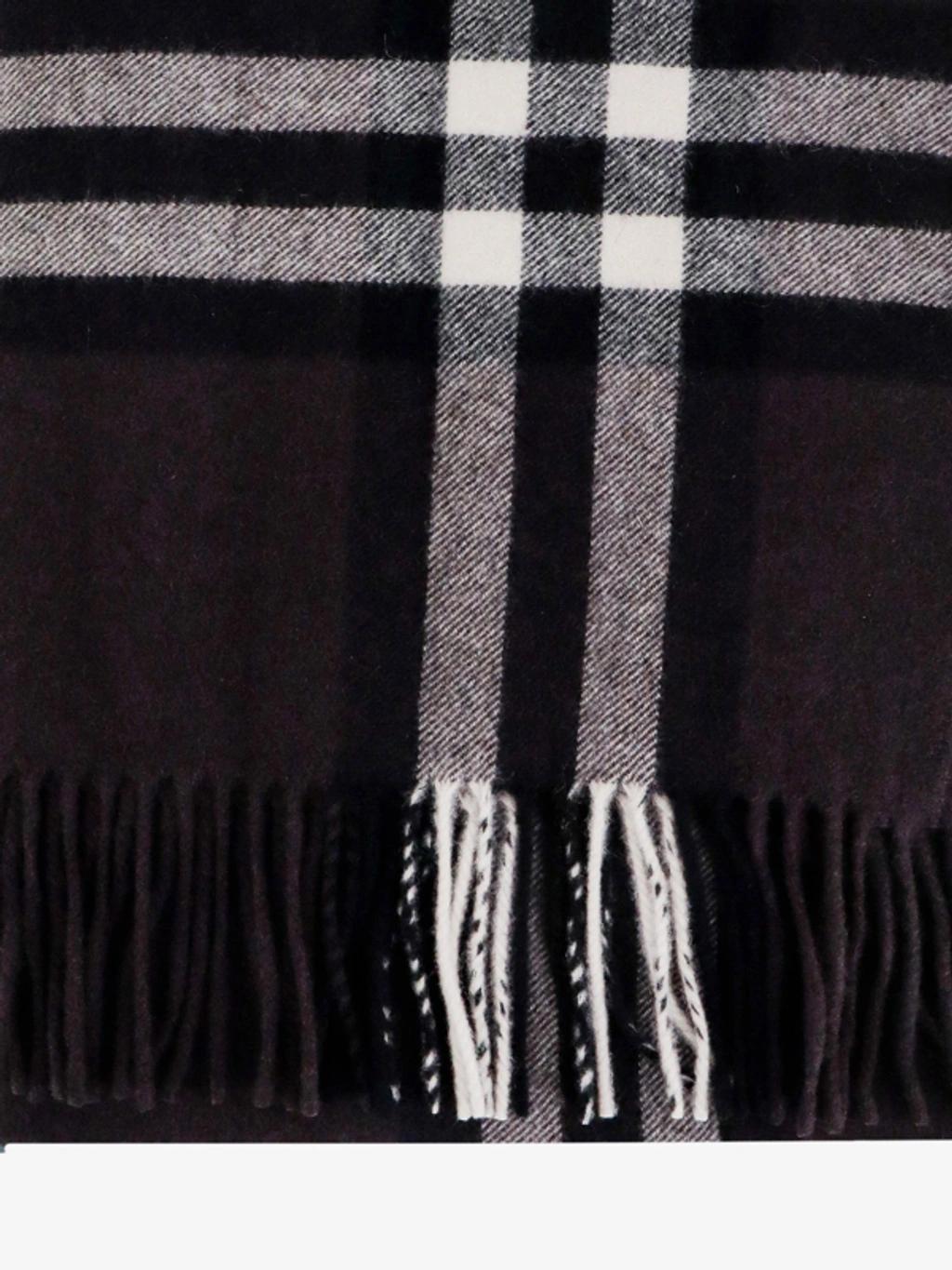 BURBERRY Man  Man Brown Scarves Product Image