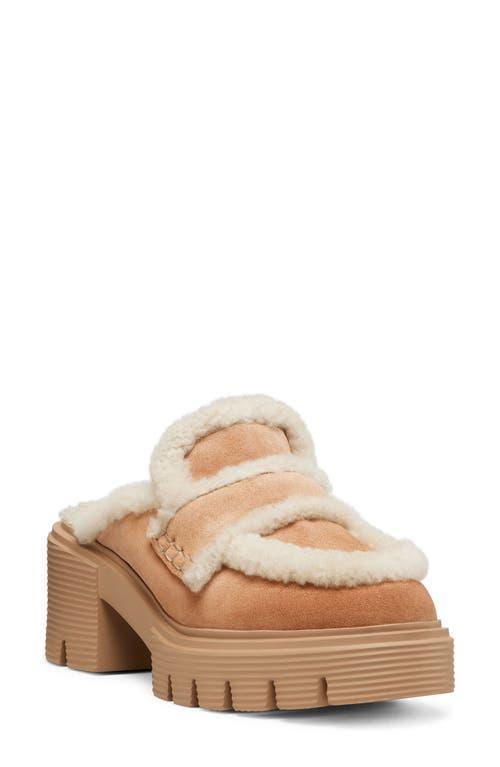 Lennox Suede Shearling Loafer Mules In Camel & Cream Product Image