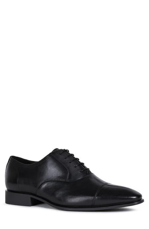 Geox High Life Cap Toe Oxford Product Image