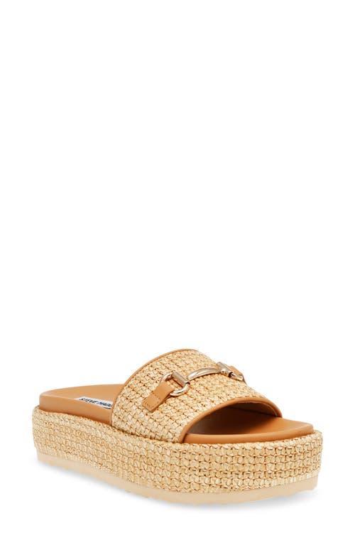 Steve Madden Kayley Platform Slide Sandal Product Image