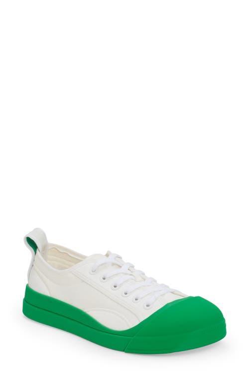 Vulcan Canvas Lace-Up Low-Top Sneakers Product Image