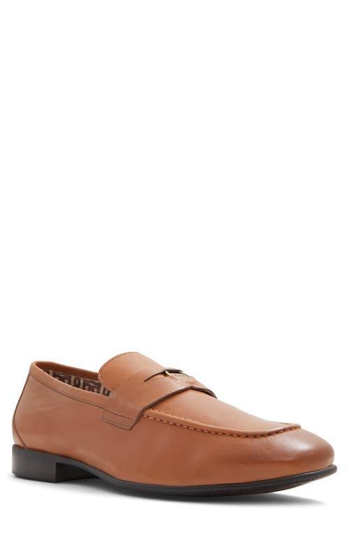 ALDO Esquire Penny Loafer Product Image