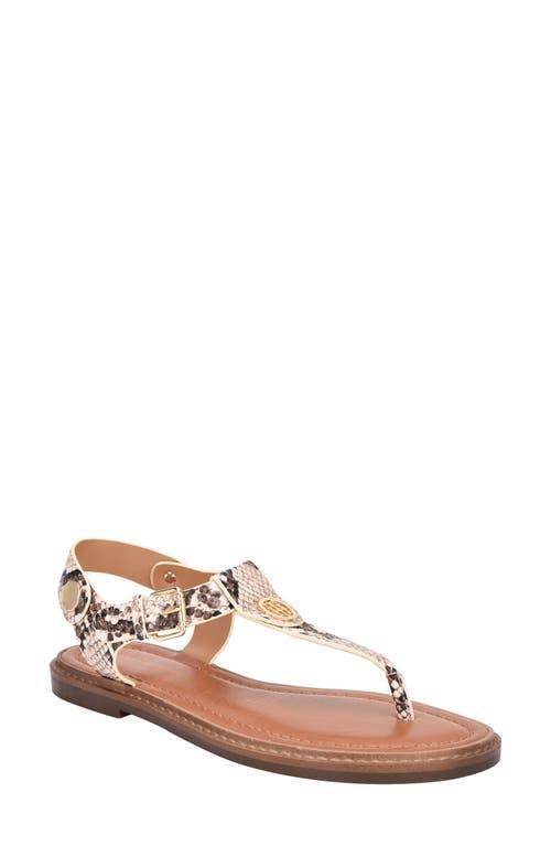 Tommy Hilfiger Bennia Sandal Product Image