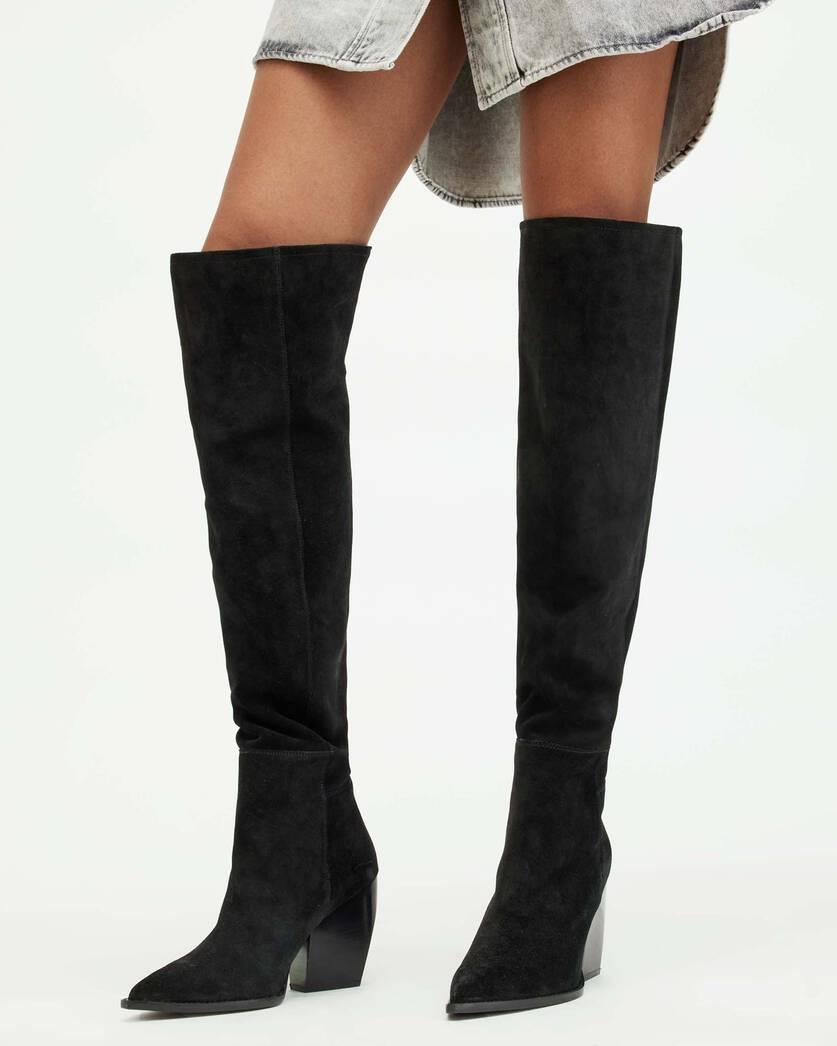 Reina Knee High Pointed Suede Boots Product Image