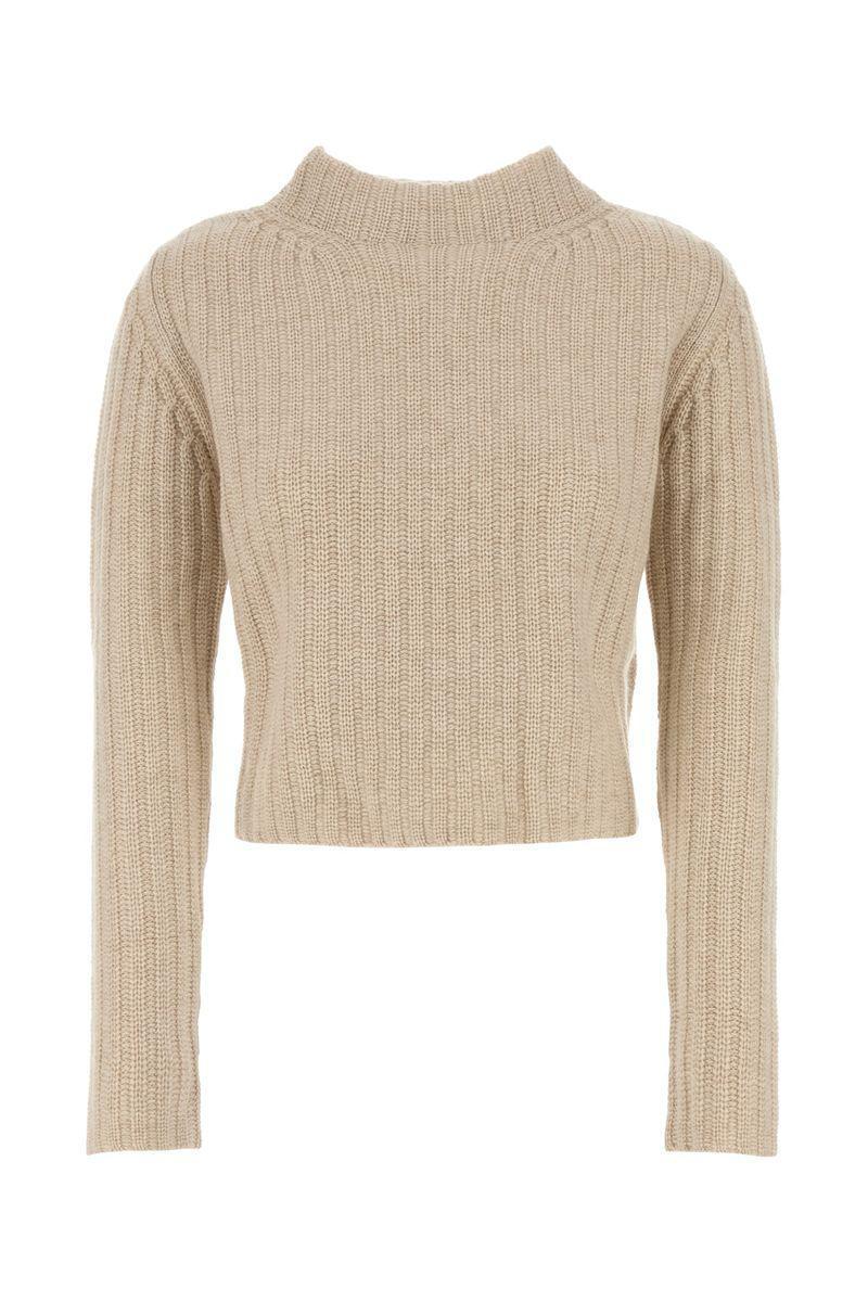 MAX MARA Sweaters In Clear Dad. product image