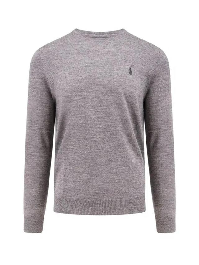 POLO RALPH LAUREN Logo Embroidered Crewneck Jumper In Grey Product Image