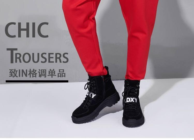 Elastic Waist Plain Baggy Pants Product Image