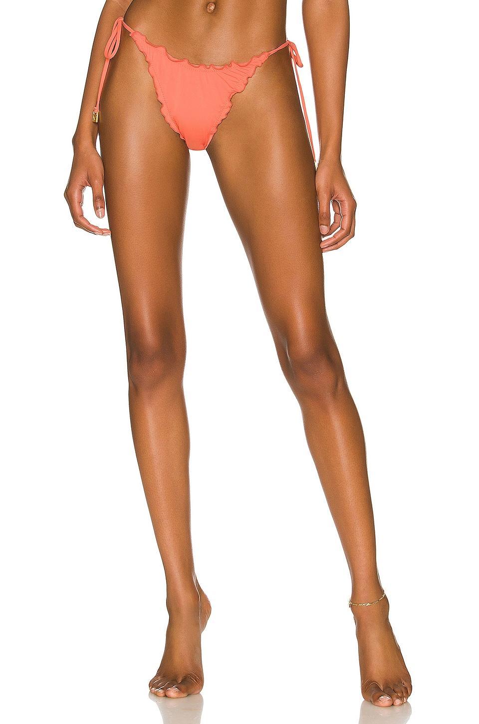 Roger Bikini Bottom LSPACE Product Image