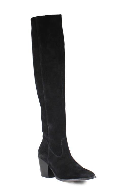 Diba True Cinna Knee High Pointed Toe Boot Product Image