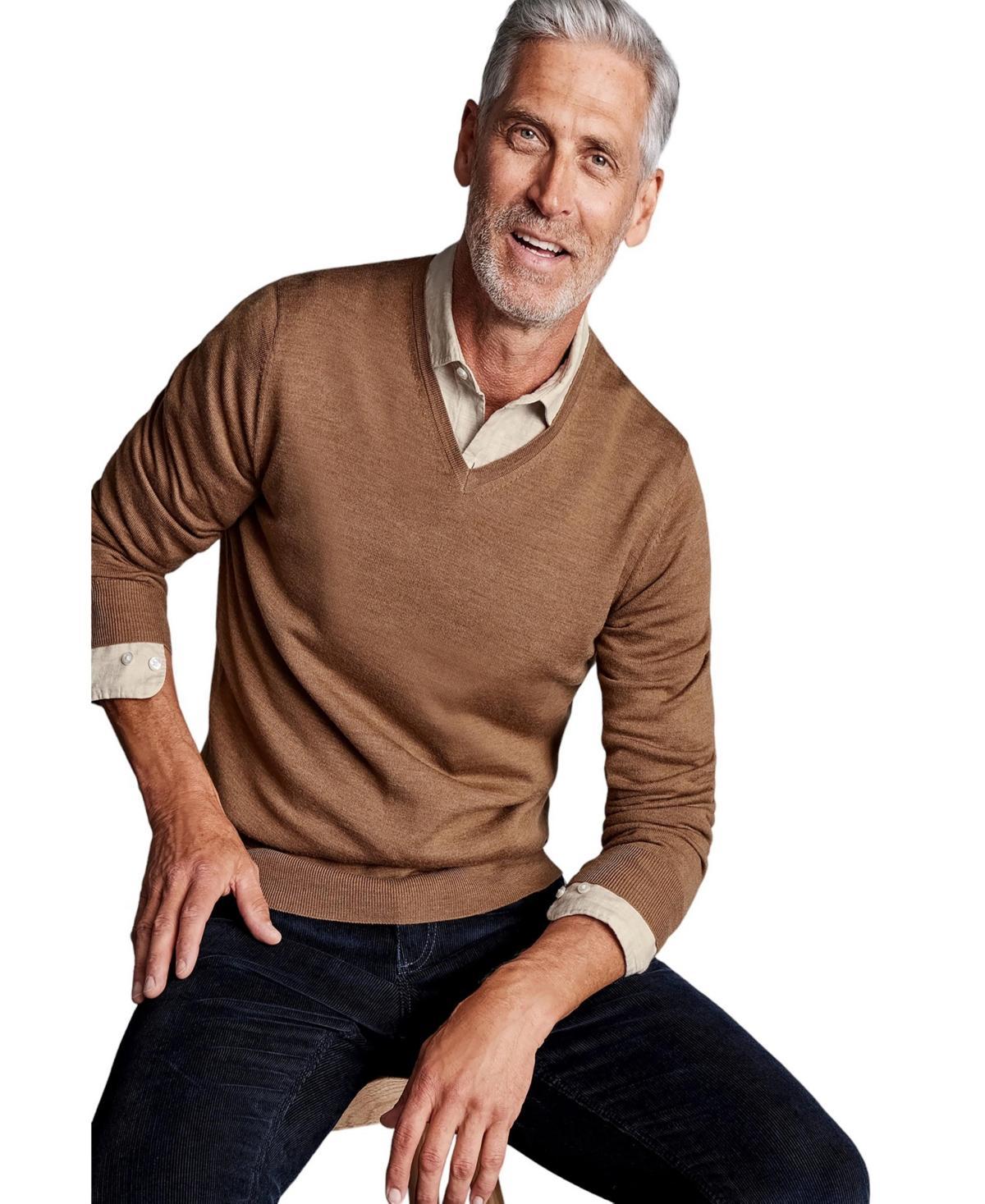 Charles Tyrwhitt Mens Pure Merino V Neck Sweater Product Image