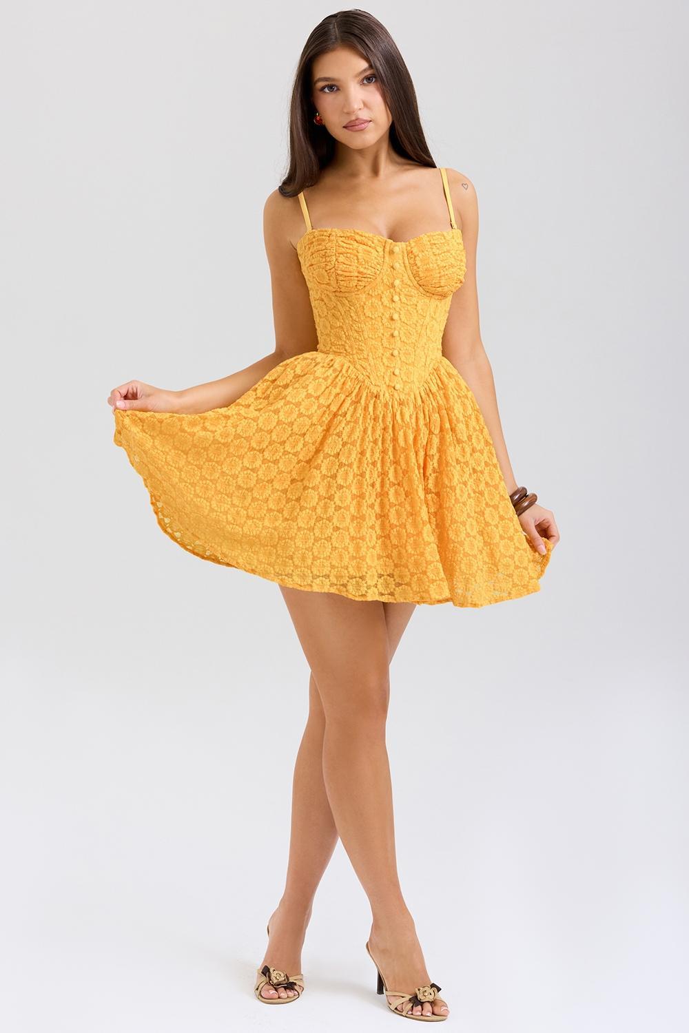 Carolina Apricot Lace Corset Mini Dress Product Image