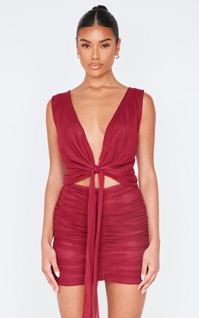 Burgundy Mesh Plunge Knot Detail Mini Dress Product Image