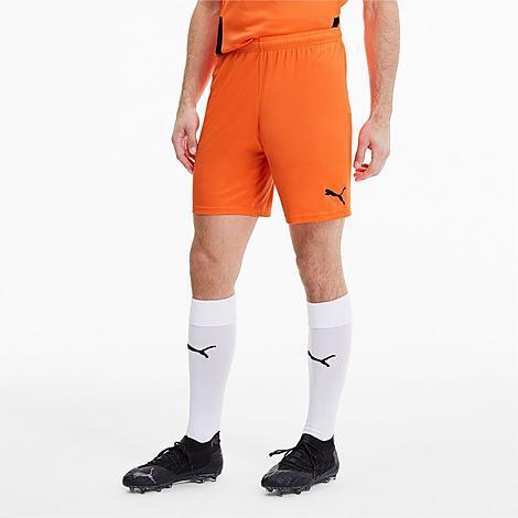 Puma Mens teamGOAL 23 Knit Shorts Product Image