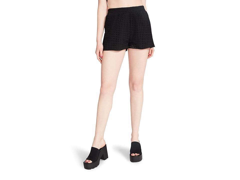 Steve Madden Glennon Shorts Women's Shorts Product Image