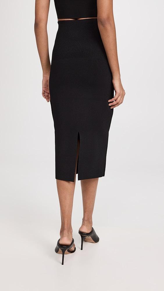 Victoria Beckham Fitted Skirt | Shopbop Product Image