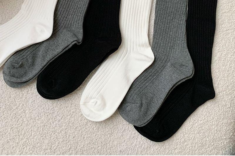 Plain Ribbed Socks Product Image