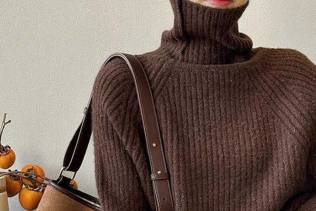 Turtleneck Plain Ribbed Knit Oversized Sweater Product Image